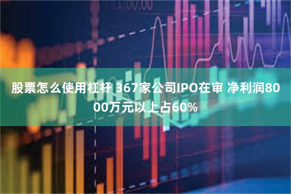 股票怎么使用杠杆 367家公司IPO在审 净利润8000万元以上占60%