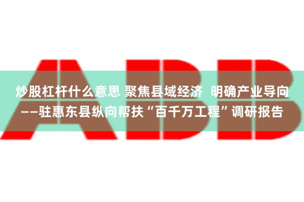 炒股杠杆什么意思 聚焦县域经济  明确产业导向——驻惠东县纵向帮扶“百千万工程”调研报告