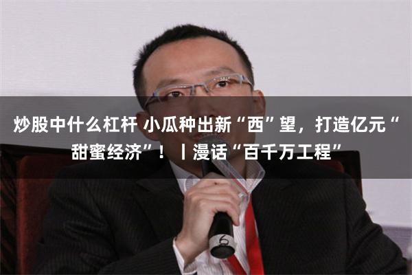 炒股中什么杠杆 小瓜种出新“西”望，打造亿元“甜蜜经济”！丨漫话“百千万工程”