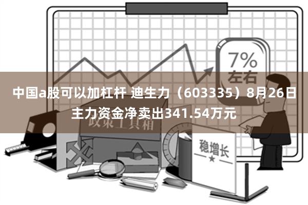 中国a股可以加杠杆 迪生力（603335）8月26日主力资金净卖出341.54万元