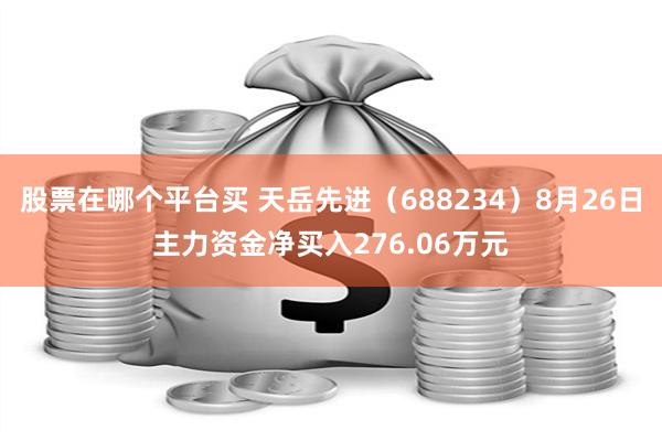 股票在哪个平台买 天岳先进（688234）8月26日主力资金净买入276.06万元