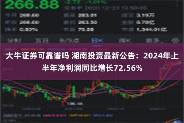 大牛证券可靠谱吗 湖南投资最新公告：2024年上半年净利润同比增长72.56%