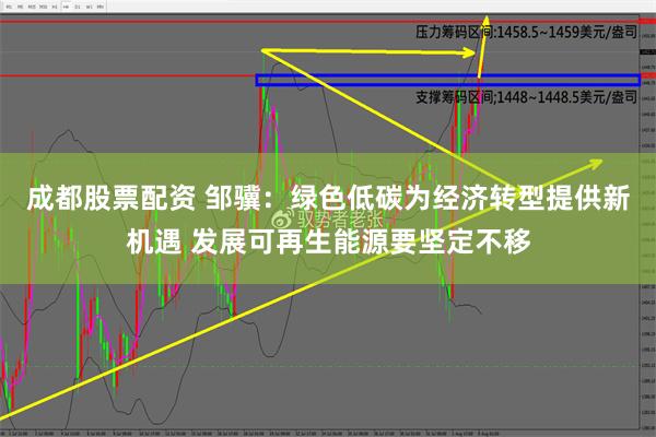 成都股票配资 邹骥：绿色低碳为经济转型提供新机遇 发展可再生能源要坚定不移