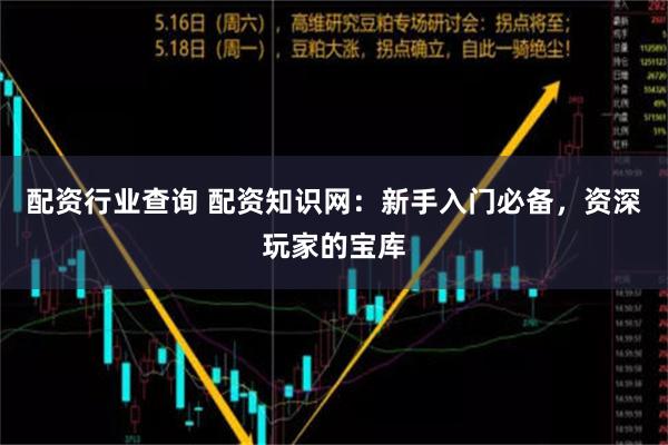 配资行业查询 配资知识网：新手入门必备，资深玩家的宝库