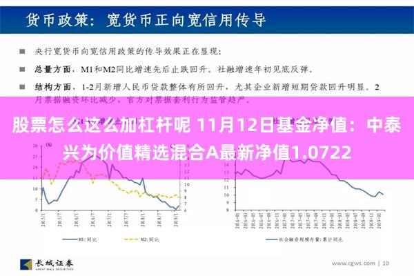 股票怎么这么加杠杆呢 11月12日基金净值：中泰兴为价值精选混合A最新净值1.0722