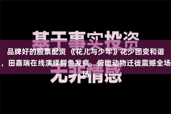 品牌好的股票配资 《花儿与少年》花少团变和谐，田嘉瑞在线演绎鳄鱼发疯，俯瞰动物迁徙震撼全场