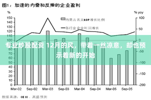 专业炒股配资 12月的风，带着一丝凉意，却也预示着新的开始